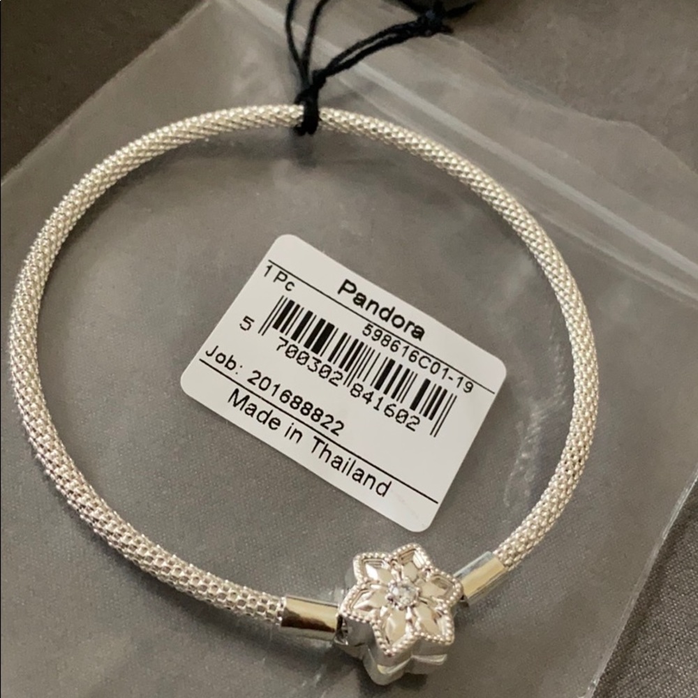 Shine Bright Pandora Mesh Bangle